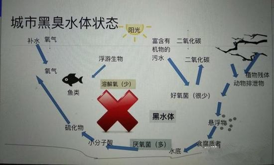 江蘇億元投資治污新技術(shù) 石墨烯能否治理黑臭水體？