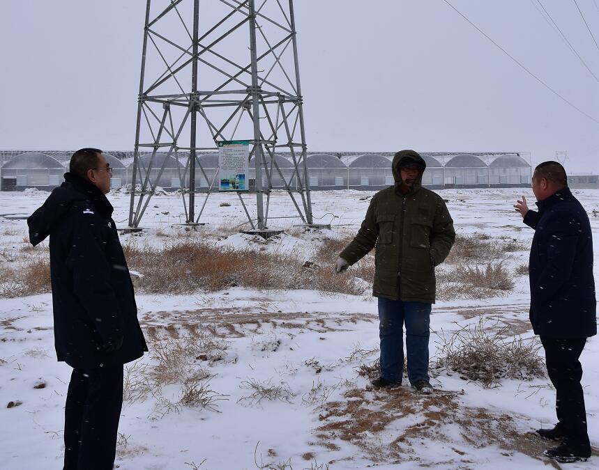 二連浩特供電公司：開展客戶側(cè)安全檢查，確?？诎犊蛻粝楹兔髁吝^春節(jié)