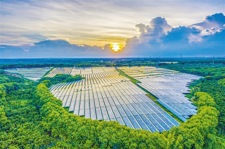 海南電網(wǎng)公司加快構(gòu)建現(xiàn)代供電服務(wù)體系，驅(qū)動(dòng)鄉(xiāng)村振興電力引擎