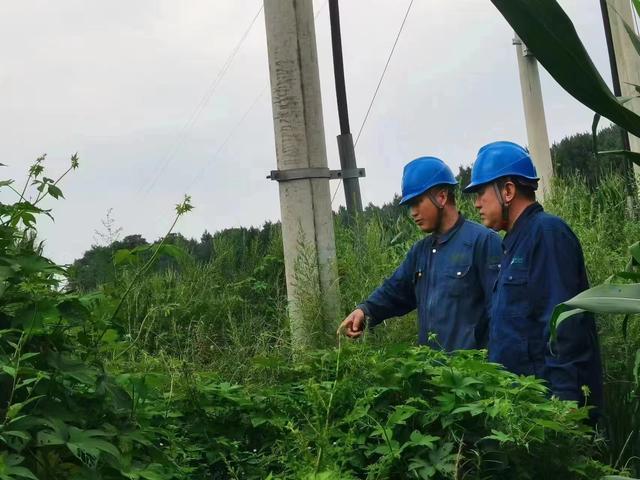 國網(wǎng)長春供電公司積極應(yīng)對(duì)極端天氣，確保線路設(shè)備穩(wěn)定運(yùn)行