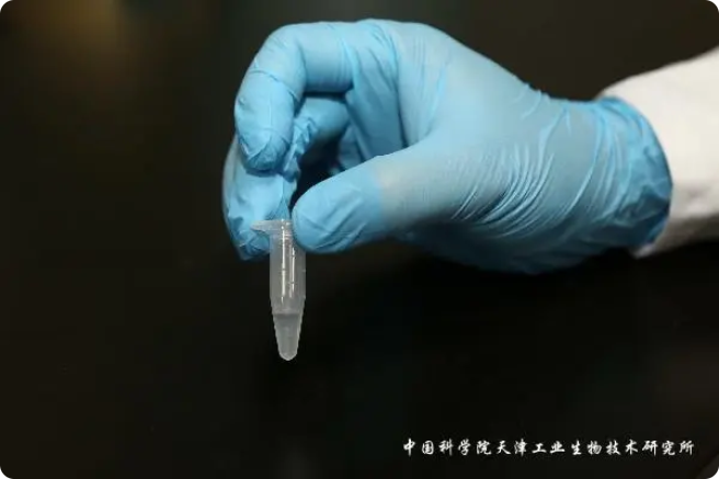 二氧化碳“變身”糖，中國科學(xué)家實(shí)現(xiàn)重大突破!