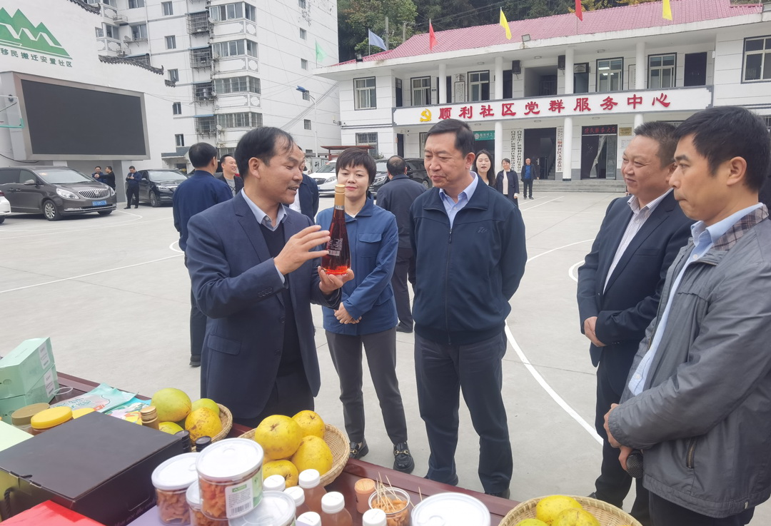 中核集團總經理、黨組副書記顧軍赴陜西白河、旬陽調研鄉(xiāng)村振興工作