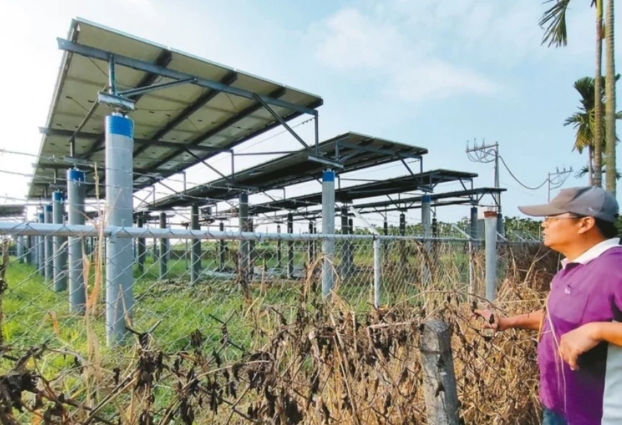 臺媒：農(nóng)田“種電”讓農(nóng)民苦不堪言，島內(nèi)面臨農(nóng)電兩失困境