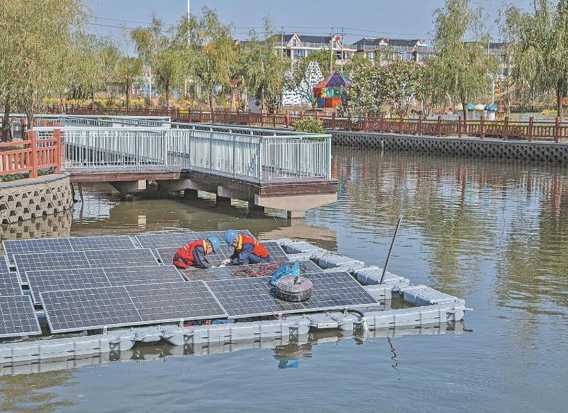 浙江海寧市袁花鎮(zhèn):小菌菇撐起綠色發(fā)展致富路