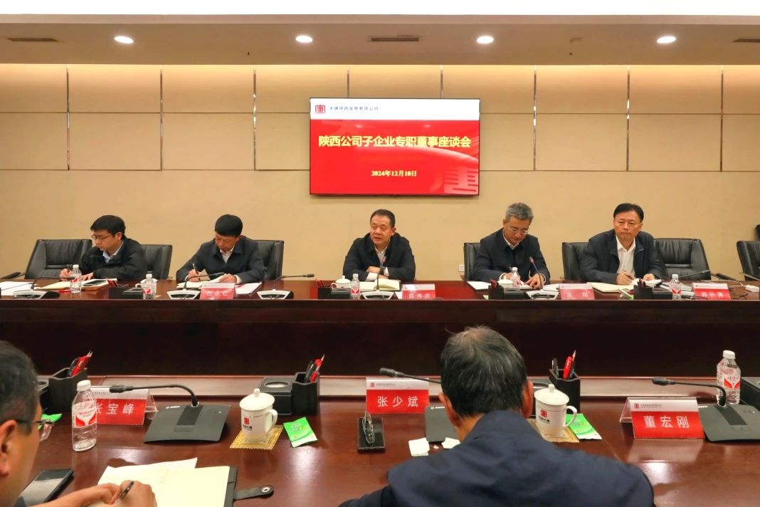 大唐陜西公司召開子企業(yè)專職董事座談會 貫徹落實集團公司董事會建設(shè)工作推進(jìn)會精神