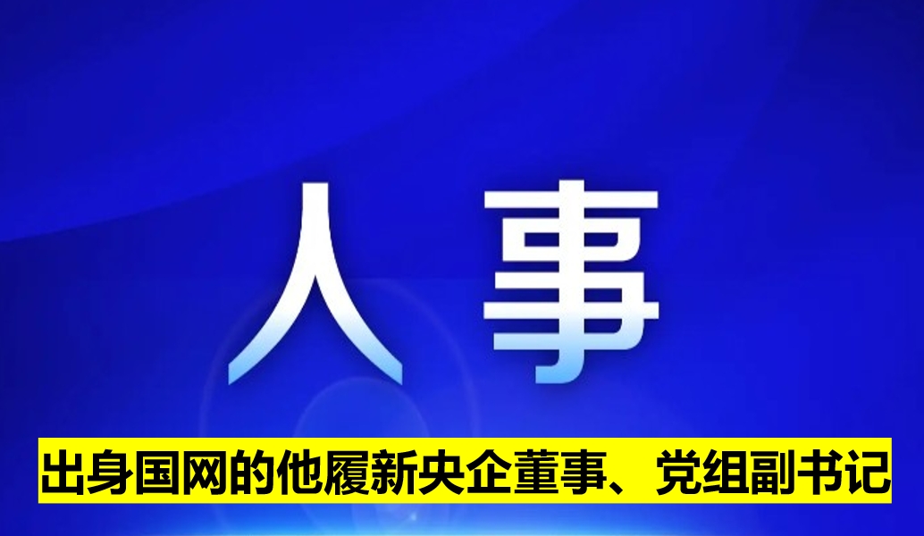 出身國網的他履新央企董事、黨組副書記
